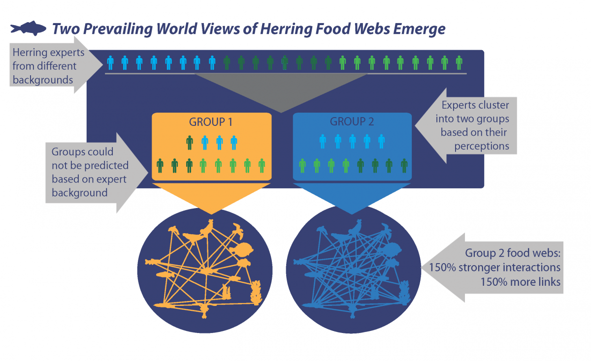 How Can Expert Perceptions Inform Herring Food  Recovery and
